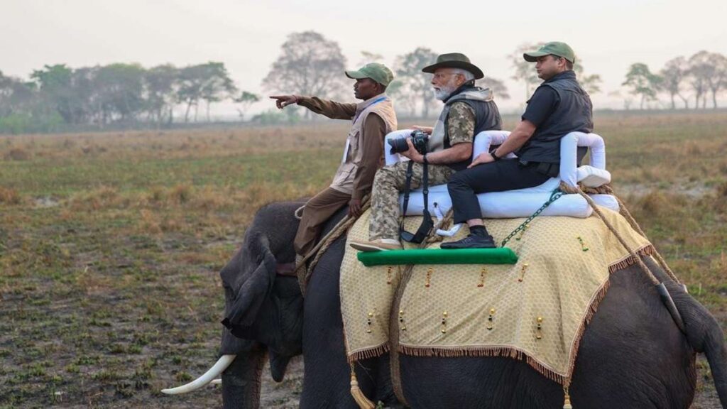 Kaziranga National Park