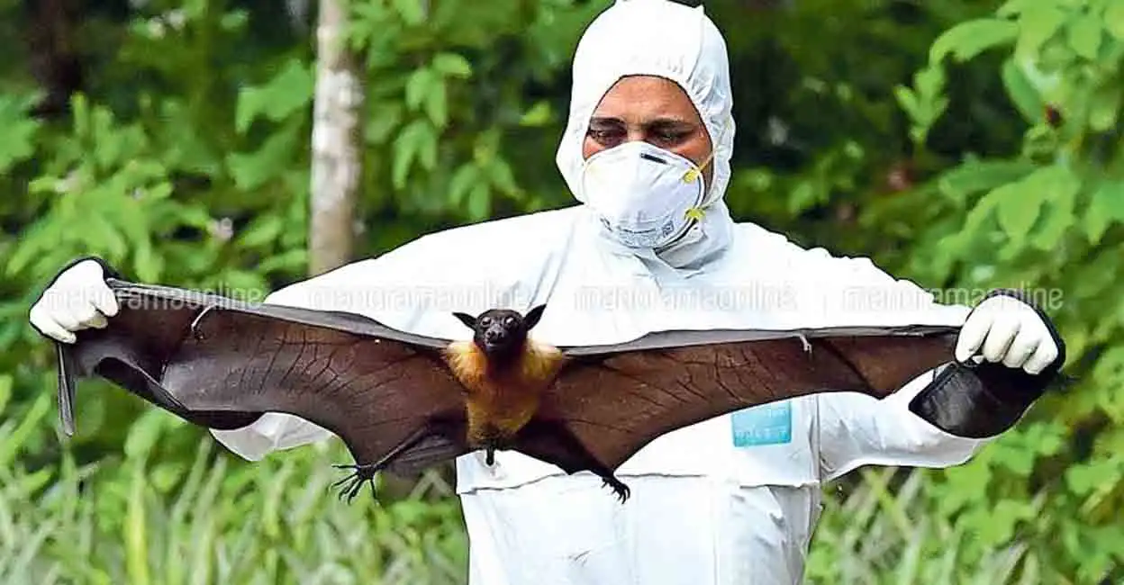 Nipah Virus