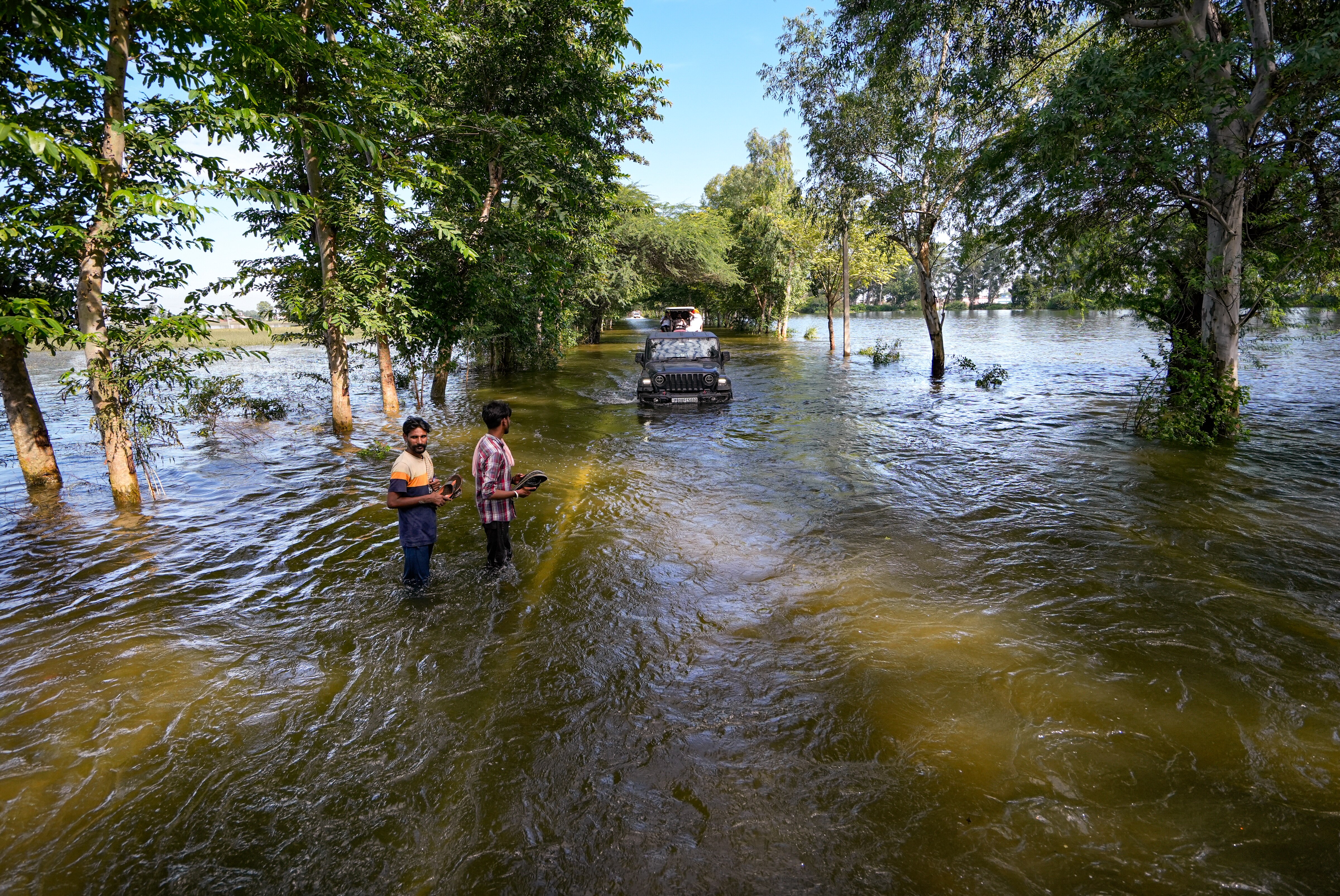 In Punjab, the death toll in floods reached 48, millions of hectares of crops destroyed, learn when school-colleges will open